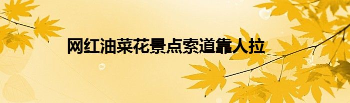 网红油菜花景点索道靠人拉