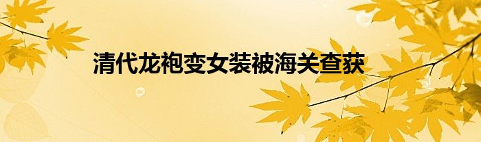 清代龙袍变女装被海关查获