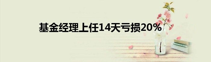基金经理上任14天亏损20%