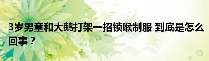 3岁男童和大鹅打架一招锁喉制服 到底是怎么回事？