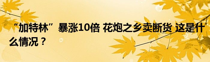 “加特林”暴涨10倍 花炮之乡卖断货 这是什么情况？