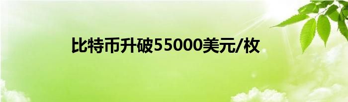 比特币升破55000美元/枚