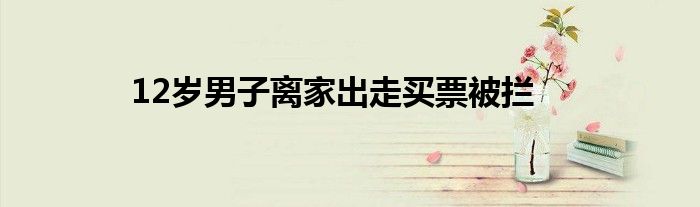 12岁男子离家出走买票被拦