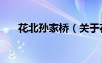 花北孙家桥（关于花北孙家桥的简介）