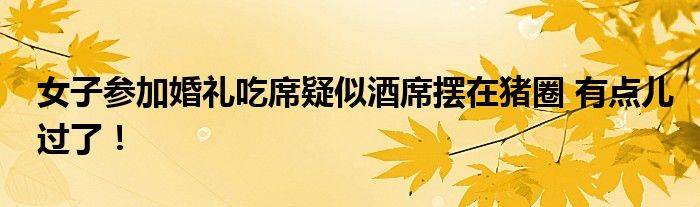 女子参加婚礼吃席疑似酒席摆在猪圈 有点儿过了！