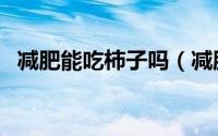 减肥能吃柿子吗（减肥的人可以吃柿子吗）