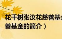 花千树张汝花慈善基金（关于花千树张汝花慈善基金的简介）