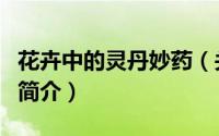 花卉中的灵丹妙药（关于花卉中的灵丹妙药的简介）