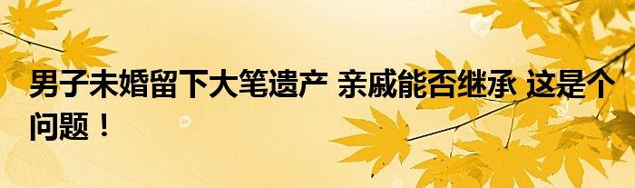 男子未婚留下大笔遗产 亲戚能否继承 这是个问题！