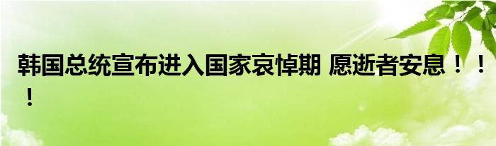 韩国总统宣布进入国家哀悼期 愿逝者安息！！！