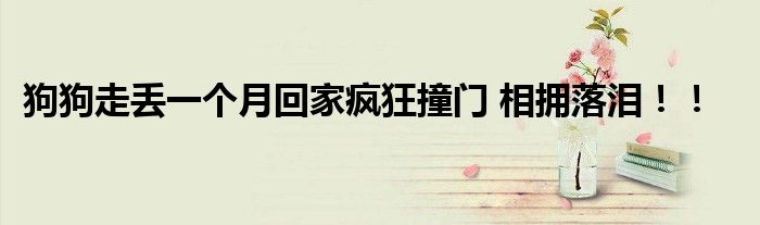 狗狗走丢一个月回家疯狂撞门 相拥落泪！！