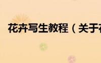 花卉写生教程（关于花卉写生教程的简介）