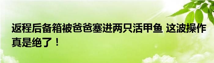 返程后备箱被爸爸塞进两只活甲鱼 这波操作真是绝了！