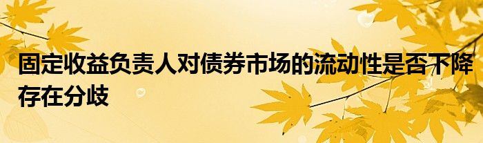 固定收益负责人对债券市场的流动性是否下降存在分歧
