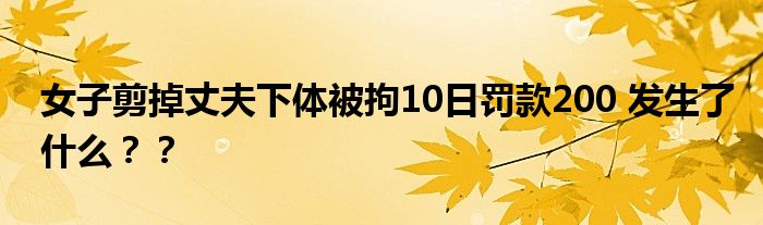 女子剪掉丈夫下体被拘10日罚款200 发生了什么？？