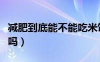 减肥到底能不能吃米饭（减肥期间可以吃米饭吗）