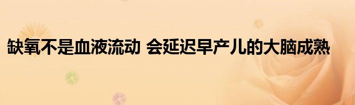缺氧不是血液流动 会延迟早产儿的大脑成熟