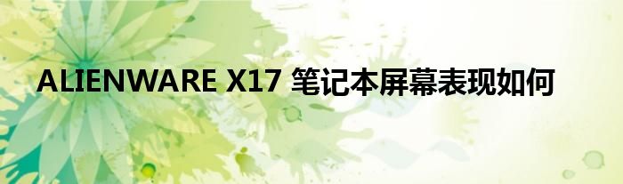 ALIENWARE X17 笔记本屏幕表现如何