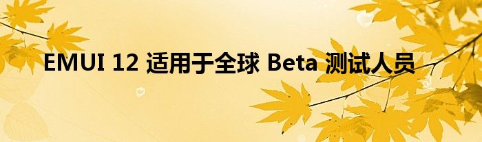 EMUI 12 适用于全球 Beta 测试人员