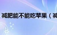 减肥能不能吃苹果（减肥期间可以吃苹果吗）