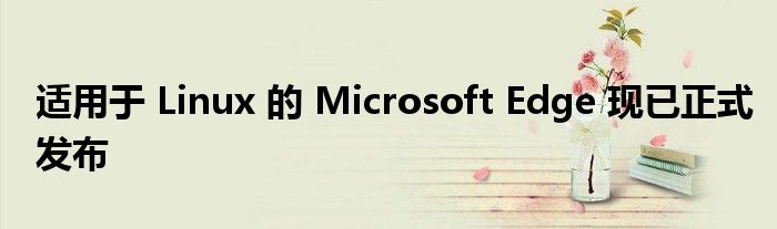 适用于 Linux 的 Microsoft Edge 现已正式发布