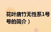 花叶唐竹无性系1号（关于花叶唐竹无性系1号的简介）