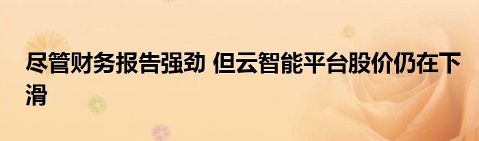 尽管财务报告强劲 但云智能平台股价仍在下滑