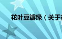 花叶豆瓣绿（关于花叶豆瓣绿的简介）