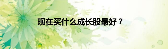 现在买什么成长股最好？
