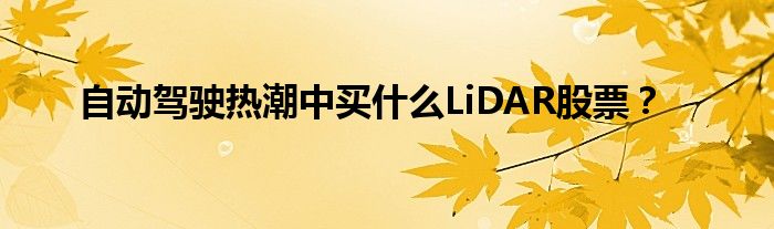 自动驾驶热潮中买什么LiDAR股票？