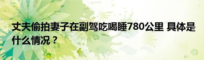 丈夫偷拍妻子在副驾吃喝睡780公里 具体是什么情况？
