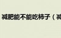 减肥能不能吃柿子（减肥期间可以吃柿子吗）