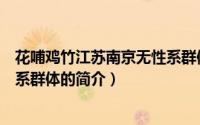 花哺鸡竹江苏南京无性系群体（关于花哺鸡竹江苏南京无性系群体的简介）