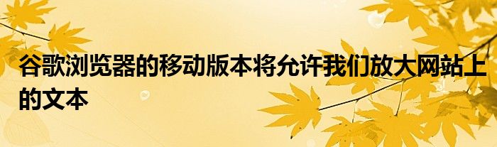 谷歌浏览器的移动版本将允许我们放大网站上的文本