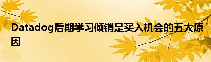 Datadog后期学习倾销是买入机会的五大原因