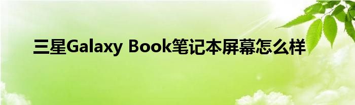 三星Galaxy Book笔记本屏幕怎么样