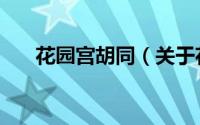花园宫胡同（关于花园宫胡同的简介）
