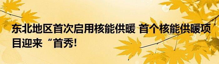 东北地区首次启用核能供暖 首个核能供暖项目迎来“首秀!