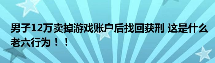 男子12万卖掉游戏账户后找回获刑 这是什么老六行为！！