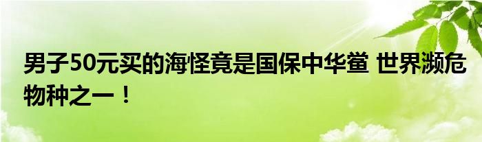 男子50元买的海怪竟是国保中华鲎 世界濒危物种之一！