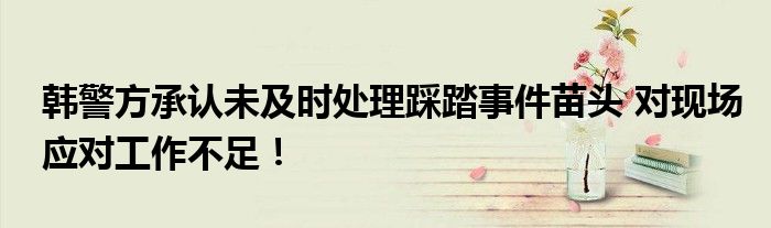 韩警方承认未及时处理踩踏事件苗头 对现场应对工作不足！