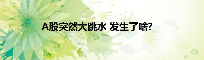 A股突然大跳水 发生了啥?