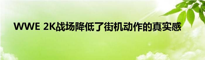 WWE 2K战场降低了街机动作的真实感