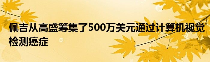 佩吉从高盛筹集了500万美元通过计算机视觉检测癌症