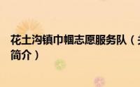 花土沟镇巾帼志愿服务队（关于花土沟镇巾帼志愿服务队的简介）