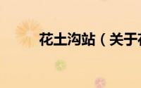 花土沟站（关于花土沟站的简介）