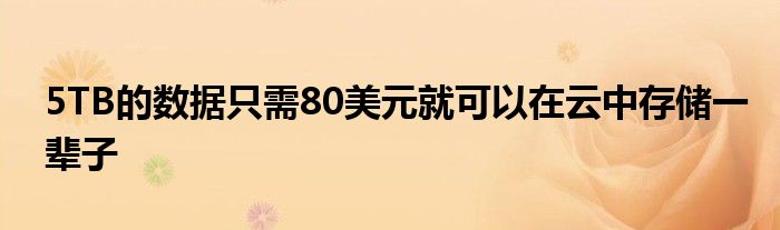 5TB的数据只需80美元就可以在云中存储一辈子