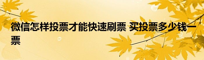 微信怎样投票才能快速刷票 买投票多少钱一票