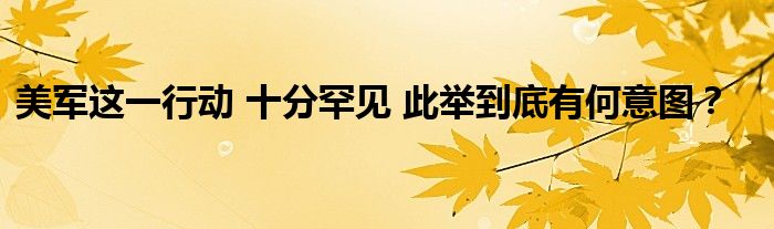 美军这一行动 十分罕见 此举到底有何意图？
