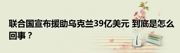 联合国宣布援助乌克兰39亿美元 到底是怎么回事？